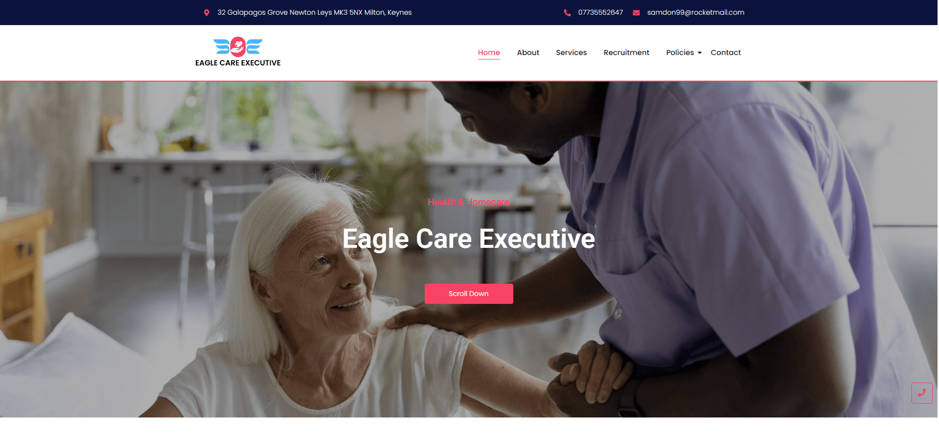 Eagle Care website with Hostking web hosting