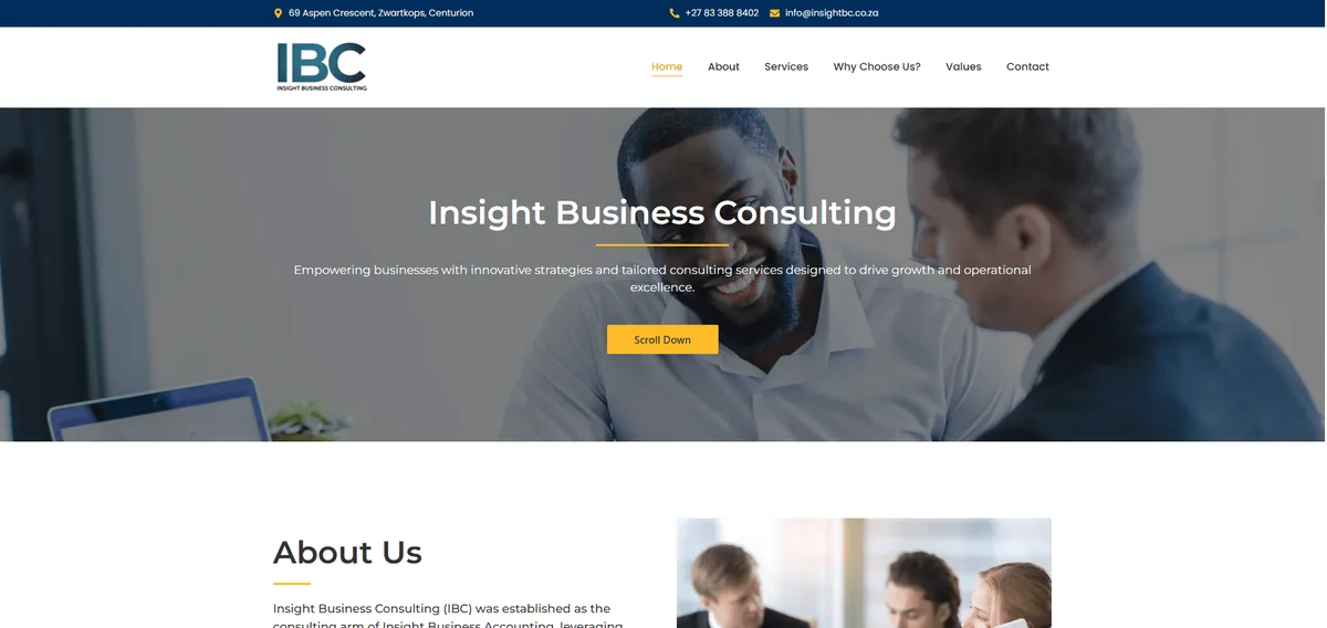 Insight Business website — built by Hostking